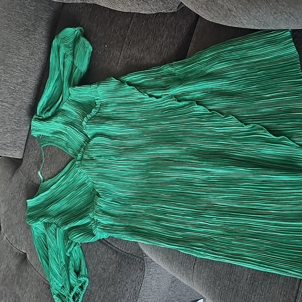 Anthropologie Green Pleated Midi Dress
